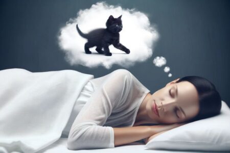 تعبیر خواب گربه سیاه