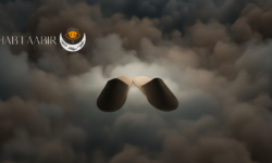 تعبیر خواب دمپایی